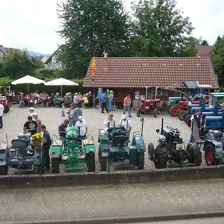 Pensionat Landgasthaus Loewen Mit Gaestehaus 2*